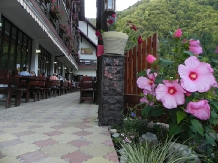 Pensiunea La Cetatte - accommodation in  Fagaras and nearby, Transfagarasan (16)