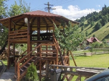 Pensiunea Perla Carpati - accommodation in  Rucar - Bran, Moeciu (05)