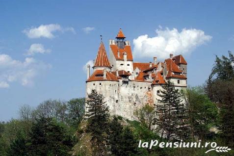 Pensiunea Perla Carpati - cazare Rucar - Bran, Moeciu (Activitati si imprejurimi)