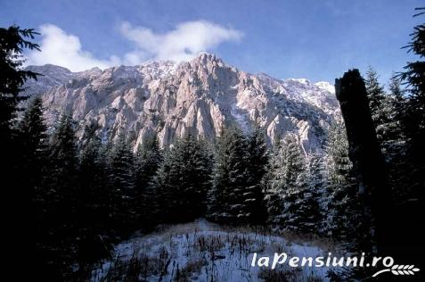 Pensiunea Perla Carpati - cazare Rucar - Bran, Moeciu (Activitati si imprejurimi)