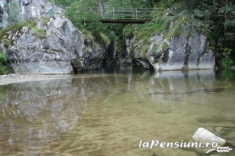 Pensiunea Casa Natura - alloggio in  Valea Cernei, Herculane (Attivit&agrave; e i dintorni)