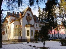 Vila Camelia - accommodation in  Prahova Valley (12)