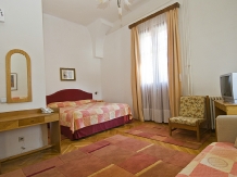 Vila Camelia - accommodation in  Prahova Valley (22)