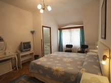 Vila Camelia - accommodation in  Prahova Valley (23)