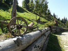 Pensiunea Somesana - cazare Bistrita (05)