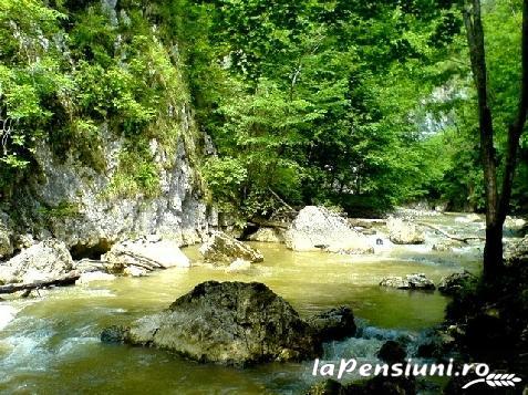 Pensiunea Sólyomkô - alloggio in  Tusnad (Attivit&agrave; e i dintorni)