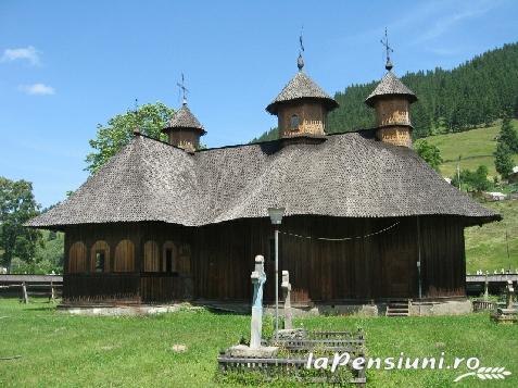 Vila Cetina - cazare Bucovina (Activitati si imprejurimi)