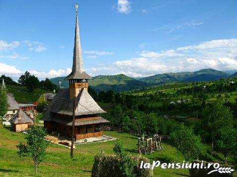 Pensiunea Adriana - accommodation in  Maramures Country (Surrounding)