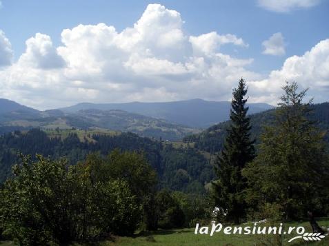 Cazare Pensiunea Floare De Colt Situata La Albac In Judetul Alba