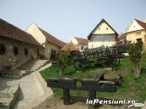 Vila Natura - cazare Rucar - Bran, Moeciu (Activitati si imprejurimi)