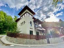 Alfinio Villa - accommodation in  Prahova Valley (01)