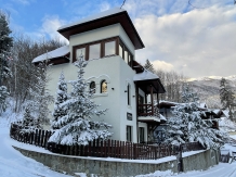 Alfinio Villa - accommodation in  Prahova Valley (02)