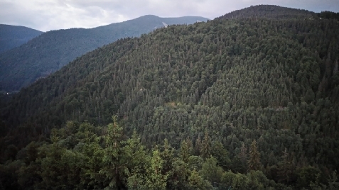 Cabana La Fragute - alloggio in  Apuseni, Valea Draganului (Attivit&agrave; e i dintorni)