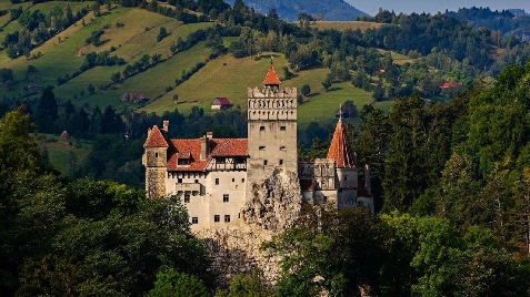 Ara Chalet - cazare Rucar - Bran, Moeciu, Bran (Activitati si imprejurimi)