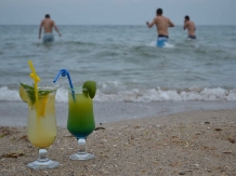 Vila Levent Mangalia - accommodation in  Black Sea (47)