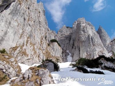 Pensiunea Poarta Bucegilor Bran - cazare Rucar - Bran, Moeciu, Bran (Activitati si imprejurimi)