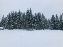 Pensiunea Panoramic Apuseni - cazare Apuseni, Belis (60)