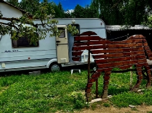 Casa Bunicilor din Leresti - alloggio in  Tara Muscelului (11)