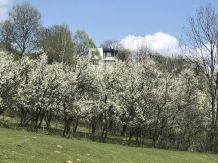 Valea Prahovei View - alloggio in  Valle di Prahova (46)