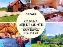 Cabana Aer de Munte - cazare Fagaras (66)