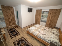 Casuta din livada - accommodation in  Bucovina (16)