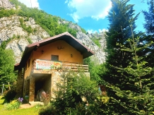 Casa Artemi - accommodation in  Apuseni Mountains (01)