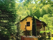 Casa Artemi - accommodation in  Apuseni Mountains (02)