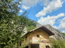 Casa Artemi - accommodation in  Apuseni Mountains (09)