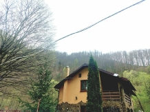 Casa Artemi - alloggio in  Apuseni (14)