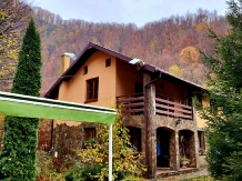 Casa Artemi - alloggio in  Apuseni (17)