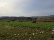 Casa Sanziana - alloggio in  Transilvania (74)