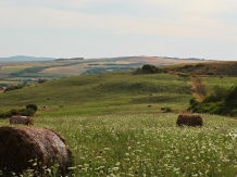 Casa Sanziana - accommodation in  Transylvania (92)