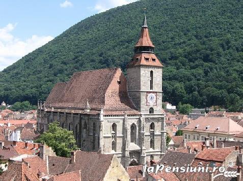 Pensiunea Intre Prieteni - accommodation in  Brasov Depression (Surrounding)