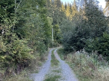 Hidden Valley - alloggio in  Apuseni (18)