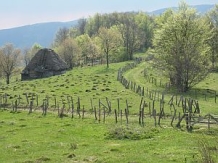 Cazare in Apuseni - taramul comorilor naturale